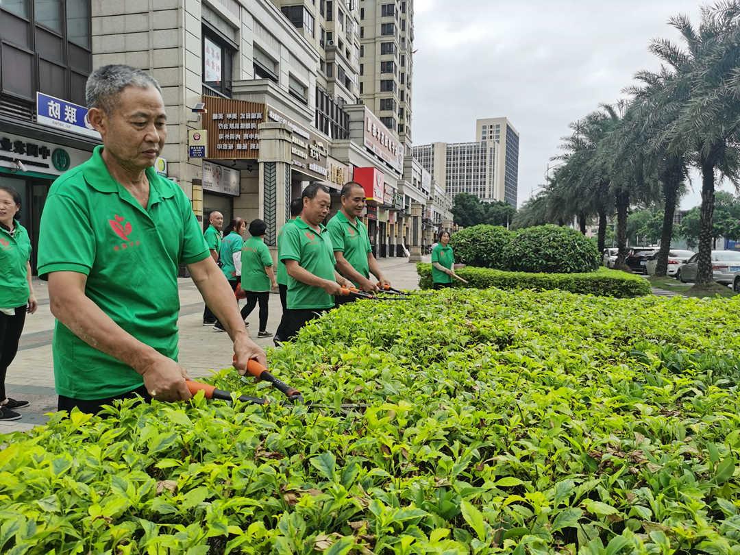 菲律宾网赌合法平台日常绿化养护工作