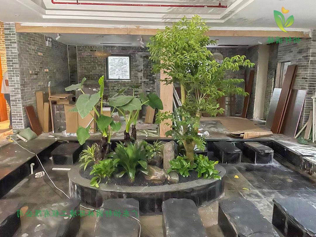 茶舍内中庭园林菲律宾网赌合法平台施工完工后展示